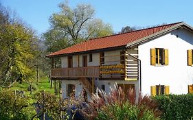 Ecohouse Furlan - Apartment Pinja
