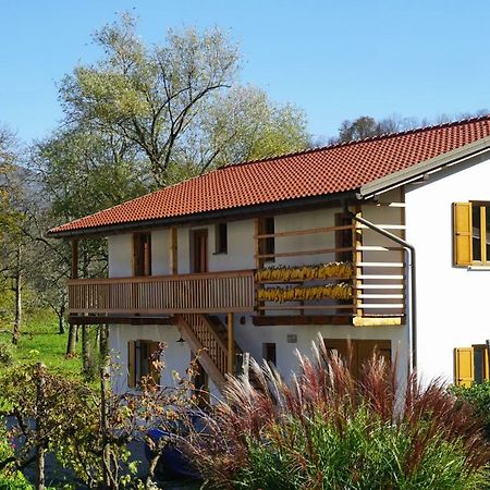 Ecohouse Furlan - Apartment Pinja Kobarid Exterior foto